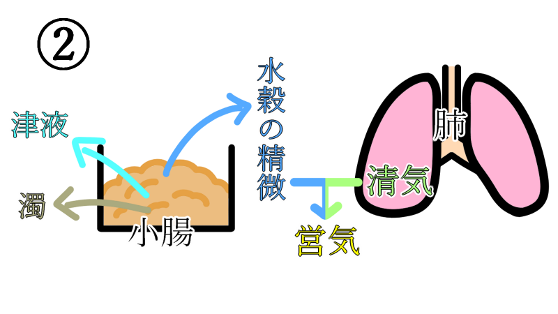 generate_blood_2