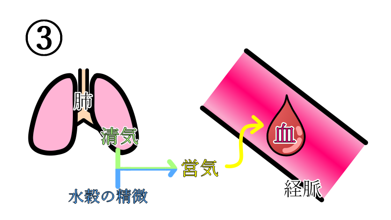 generate_blood_3