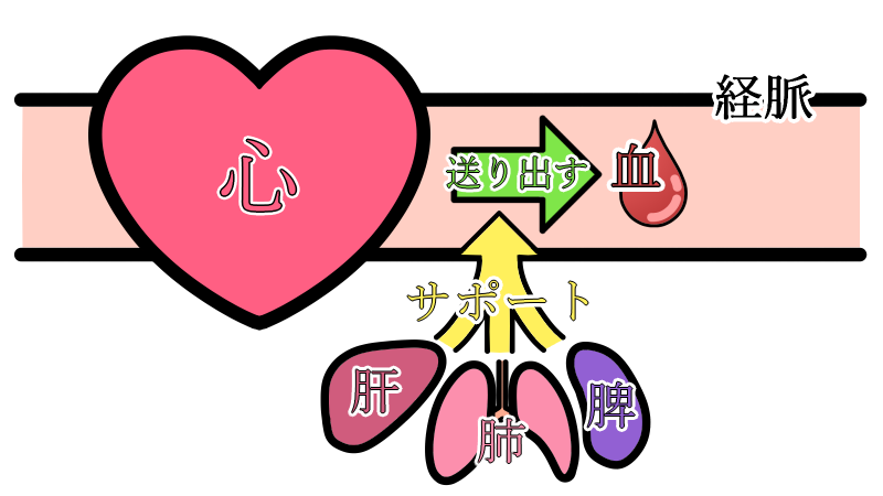 transport_blood