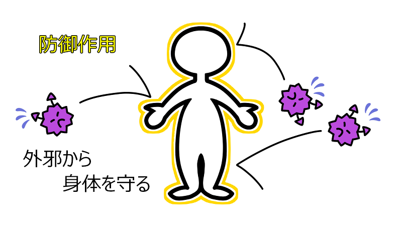 bogyo