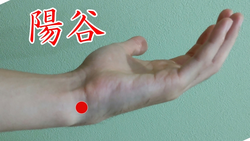 yokoku