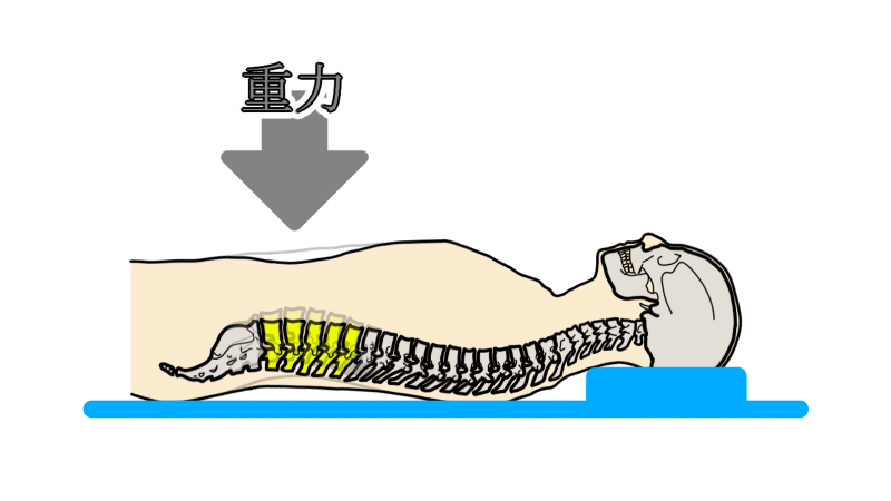 spine_change_4_grav