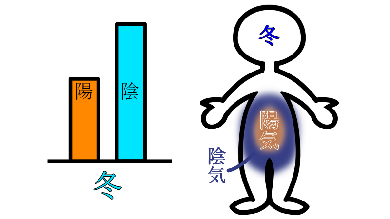 tcm_winter_body