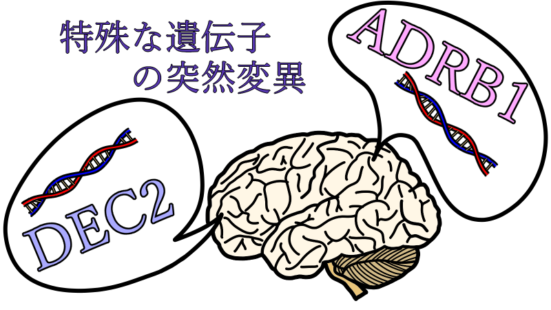shortsleep_gene