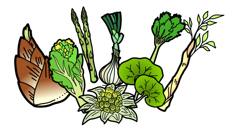 tcm_spring_vegetables
